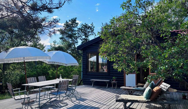 Cottage from 1961 with sun terrace and fruit trees in Stockholm