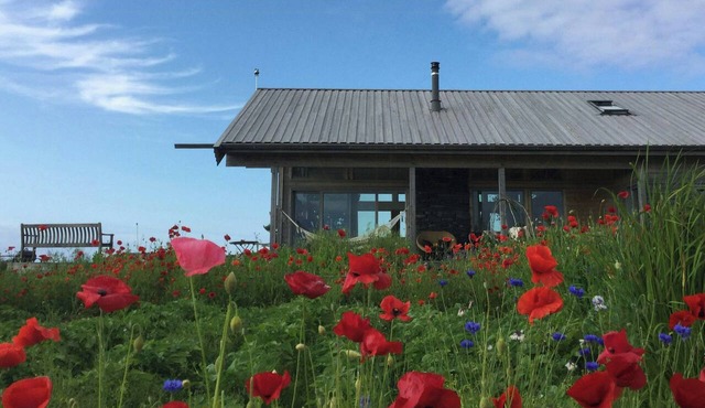 Cottage with sunny terraces and sea views in LYSØYSUNDET
