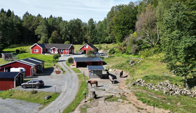 Country House on a Horse Farm - Dogs welcome and you can rent horses.