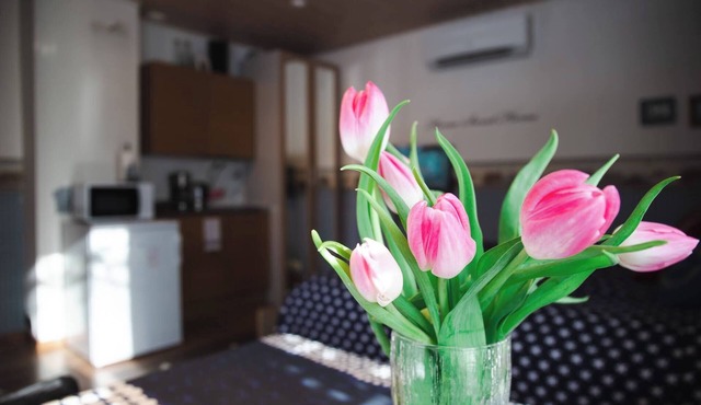 Cozy and quiet studio 10 minutes from the center of Kokkola. in Keski-Pohjanmaa