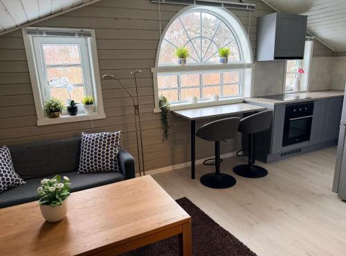 Cozy apartment in South of Norway!