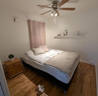 Cozy apartment