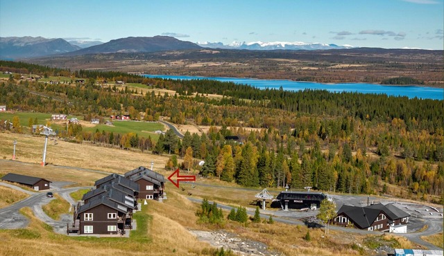 Cozy apartment with ski in/ski out on Golsfjellet