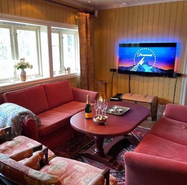 Cozy cabin apartment, ski-in ski-out at Kvitfjell in Hundorp