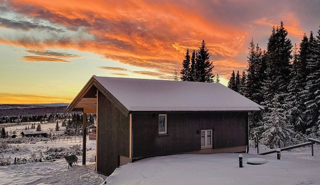 Cozy cabin near Gribbe with alpine skiing nearby