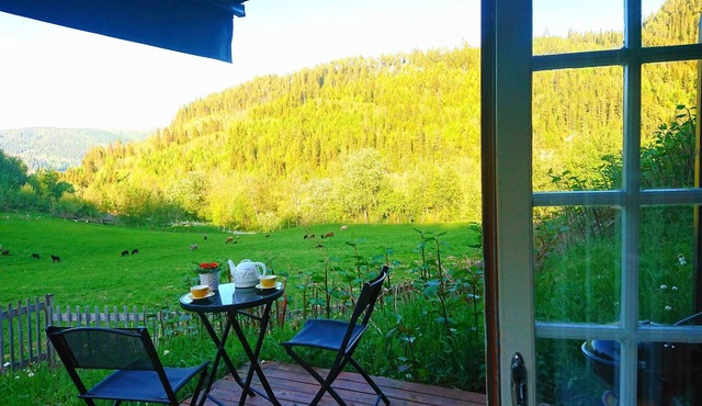 Cozy Cabin Retreat in Scenic Valley, E6 South of Trondheim in Midtre Gauldal
