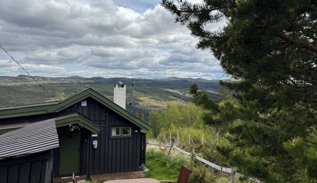 Cozy cabin with a spectacular view! Pet-friendly - 15 minutes to skiing resort!
