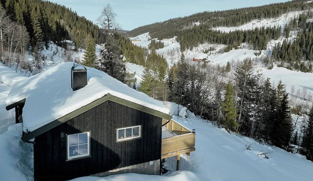 Cozy cabin with warm designs in Etnedal