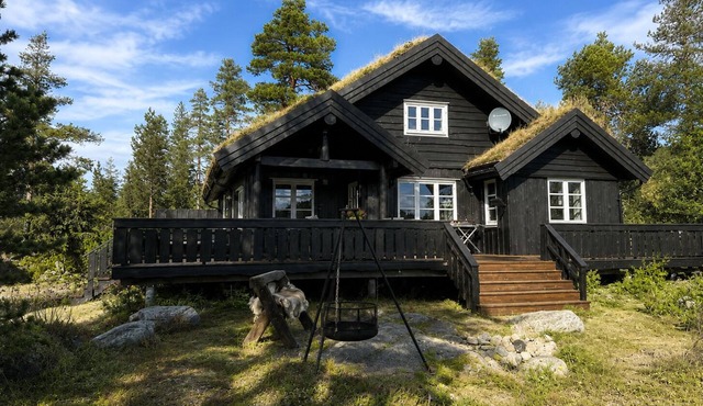 Cozy family cabin with sauna! Pets are allowed, up to 13 beds.