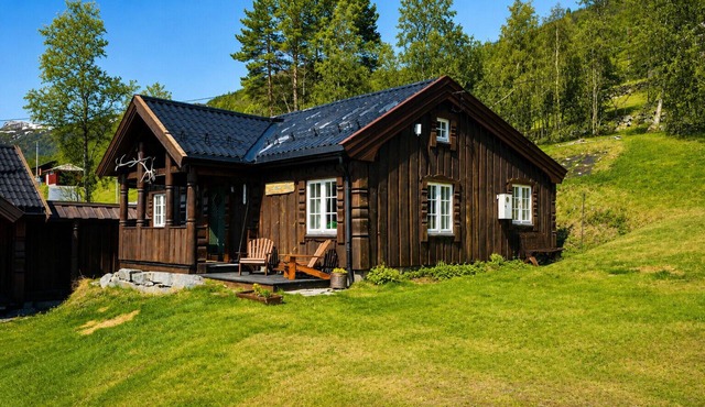 Cozy hallingstue in Geilo