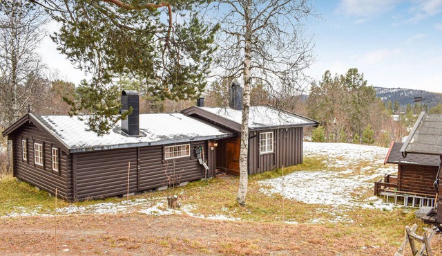 Cozy home in Rauland with WiFi in Rauland