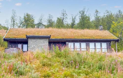 Cozy Home In Rauland With Sauna