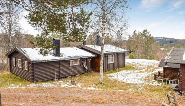 Cozy Home In Rauland With Wifi