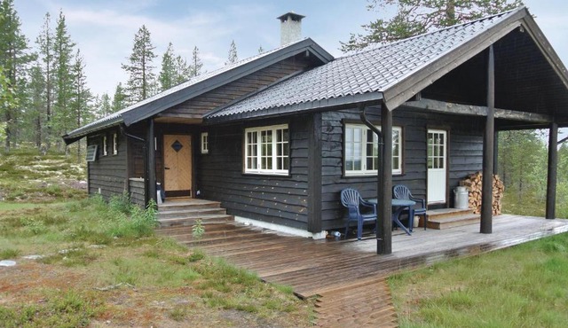 Cozy Home In Rendalen With Sauna