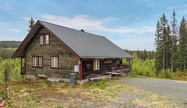 Cozy home in Särna with kitchen