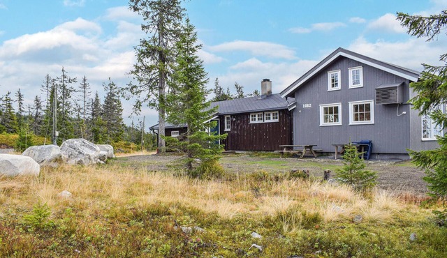 Cozy home in Sjusjøen in Sjusjøen