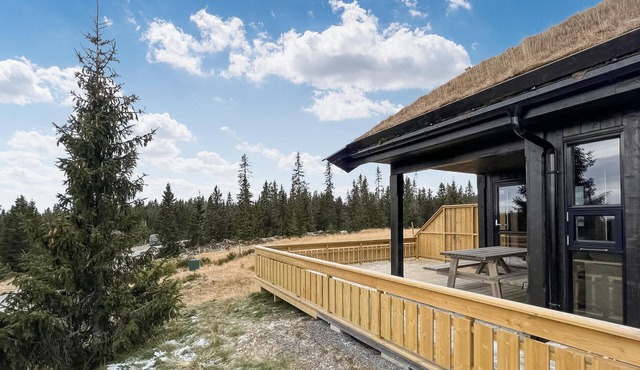 Cozy home in Sjusjøen with kitchen