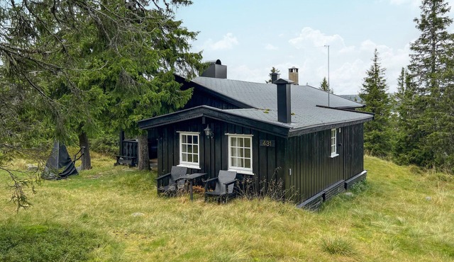 Cozy home in Sjusjøen with sauna