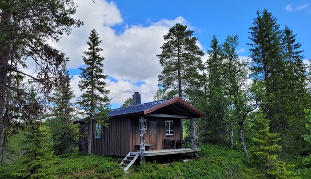Cozy Lakeside Cottage - in the middle of the forest