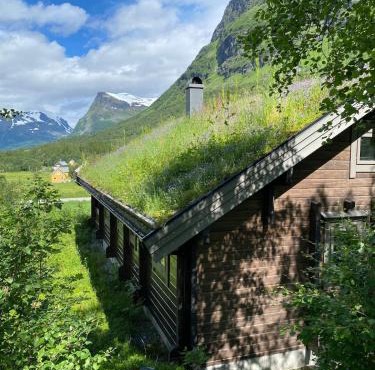Cozy log cabin in Geiranger