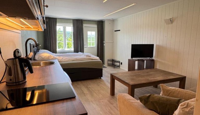 Cozy mini-apartment with kitchen
