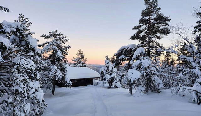 Cozy private holiday home on Lifjell