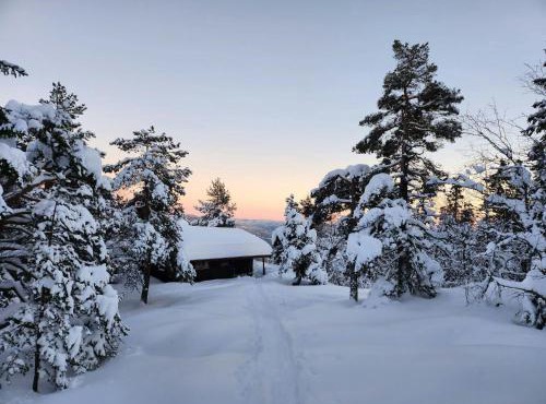 Cozy Private Holiday Home On Lifjell