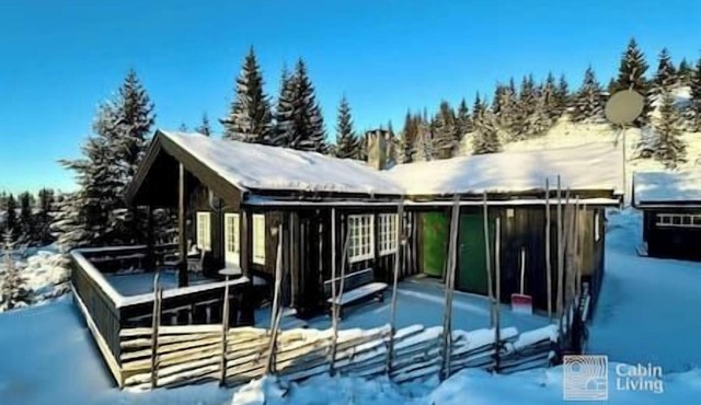 Cozy spacious cabin with sauna at Natrudstilen