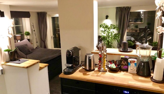Cozy studio apartment lovely seaview & private sauna in Lerum N