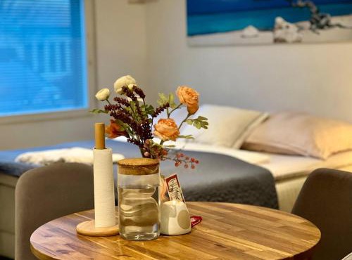 Cozy studio near Helsinki-Vantaa Airport in Vantaa