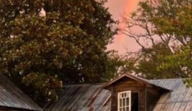 Cozy vacation home in sunny southern Gotland with a large garden, sauna, and much more.