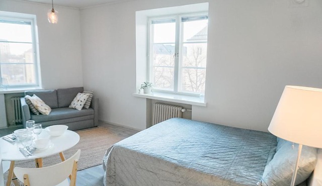 Cozy Vallila Studio - Easy to Centre & Airport in Helsinki