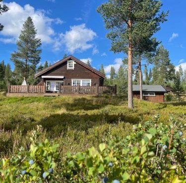Cozy year-round cabin with sauna at Furutangen in Rena
