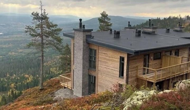 Designer villa with infinity pool in Branäs nature