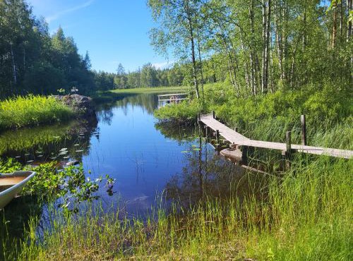 Det lilla ovanliga boendet mitt i skogen