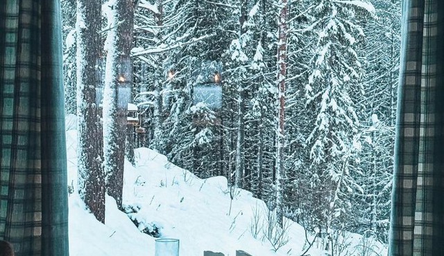 Dividola arctic wilderness cabin in Malselv