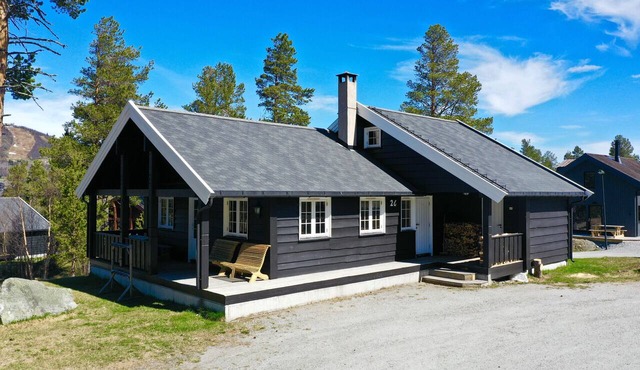 Dream cabin by Geilo – ski-in/ski-out with room for the whole family! in Hol