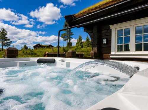 Dream mountain cabin with jacuzzi and views
