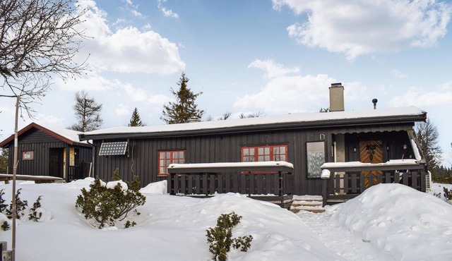Experience the fascinating Norway in this vacation home.