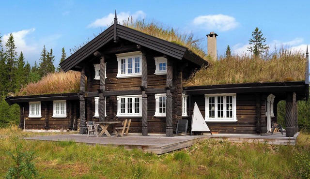 Fagerasen 811 by Vacation Trysil (Families only)