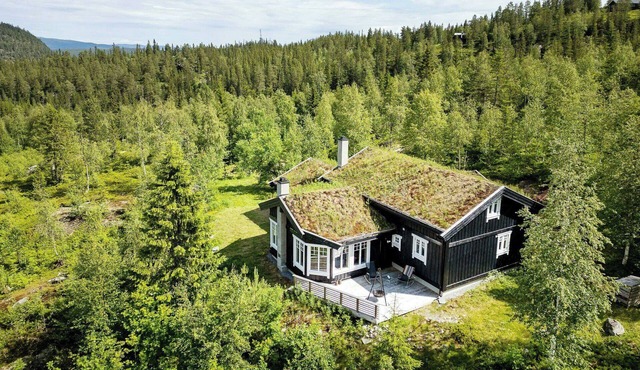 Family cabin with panoramic view near Vikerfjellet