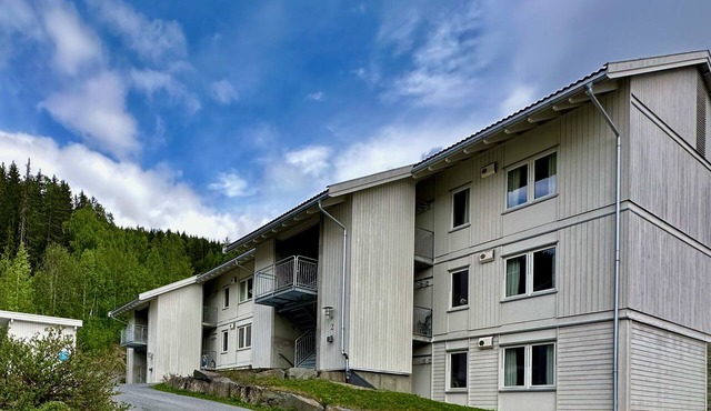 Family-friendly apartment in Hafjell ski in/out, fireplace, sauna and wifi