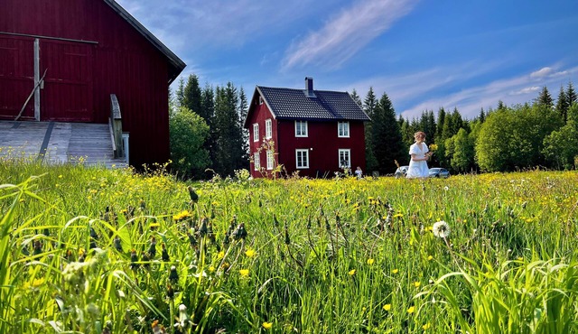 Family-friendly Idyllic Farmhouse