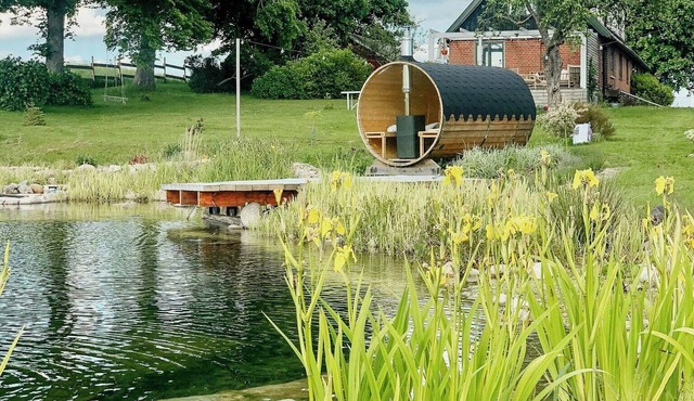 Farmstead in Fyledalen with natural pool