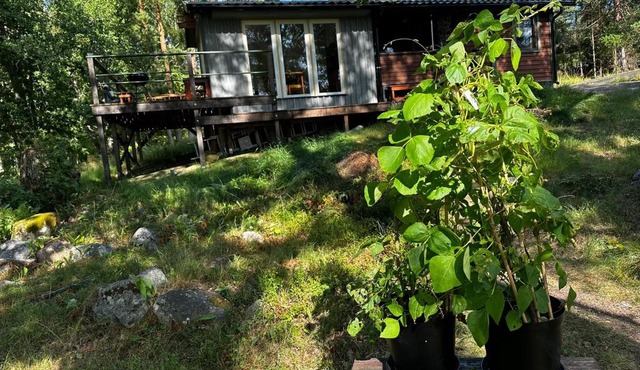 Ferien auf Husarö, Åsas Haus