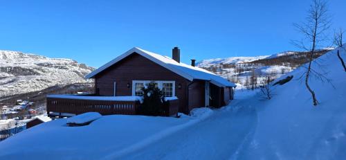 Fjellheim