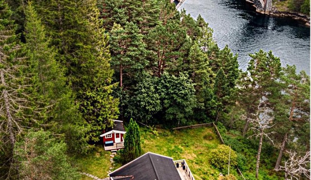 Forest Cabin by the Water
