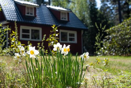 Forest Outdoor 'Plan Torpet' Cabin