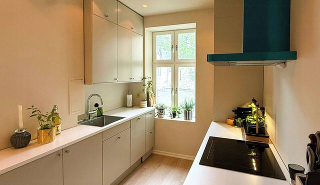 Fully renovated flat on St. Hanshaugen in Oslo