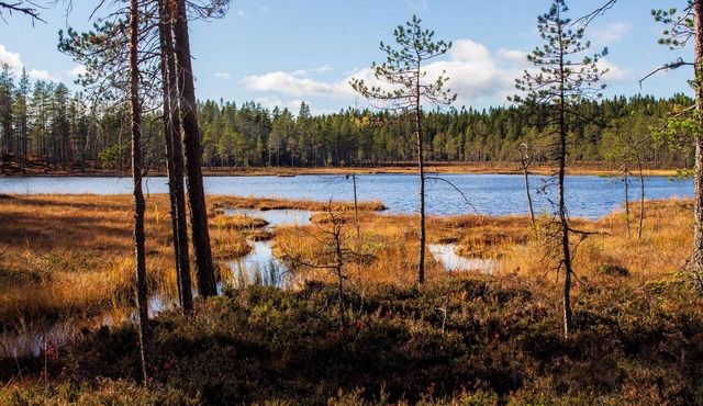 Gopshusgården - Rum och Stugor